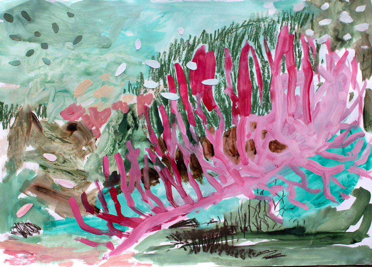 Coral study